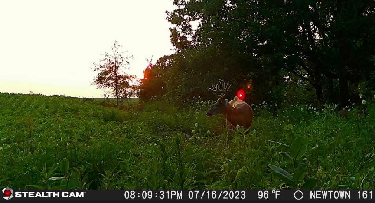 110 acres in Newtown, MO, 64667 LandWatch