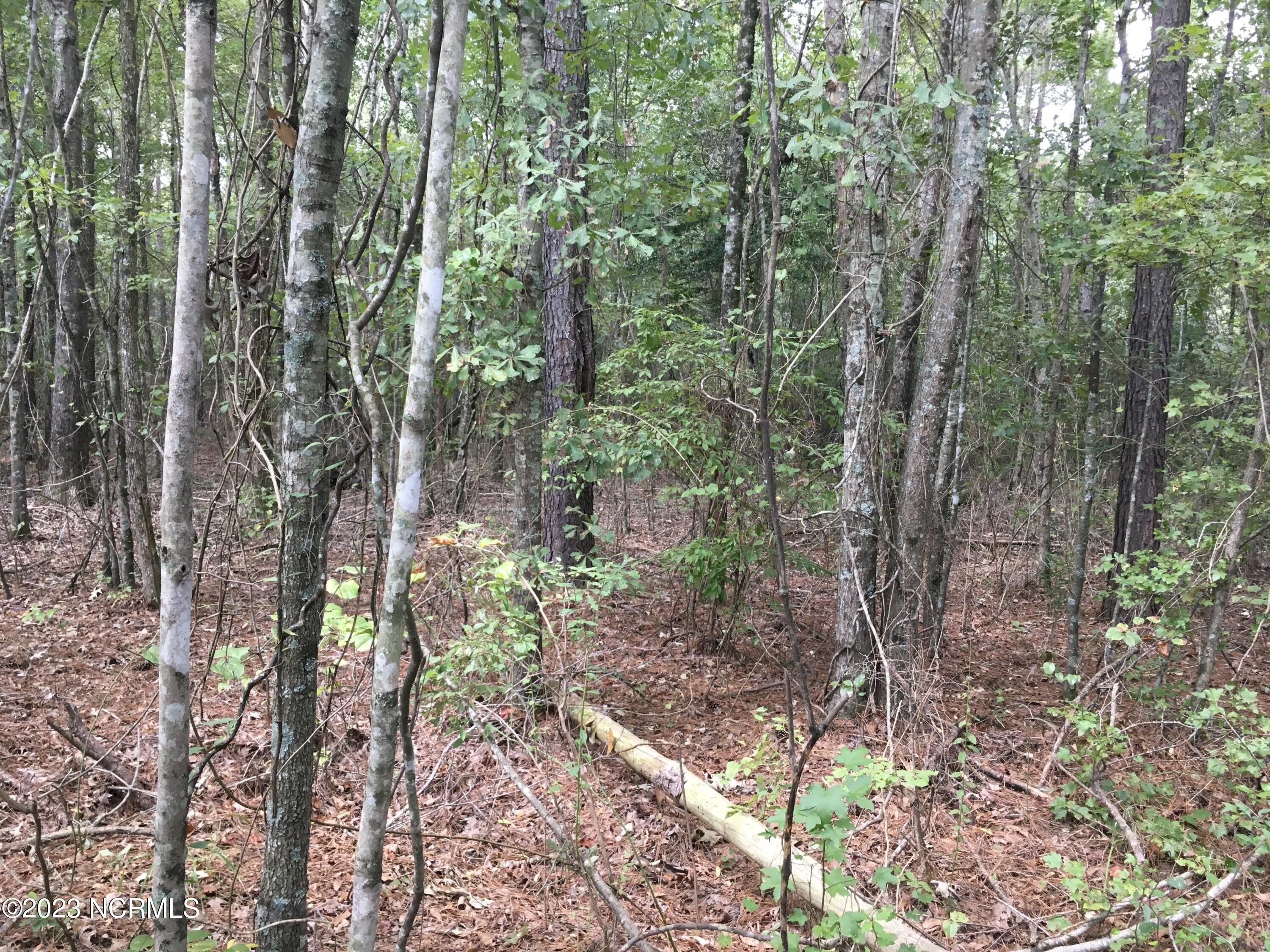 Grimesland, Pitt County, NC Undeveloped Land for sale Property ID