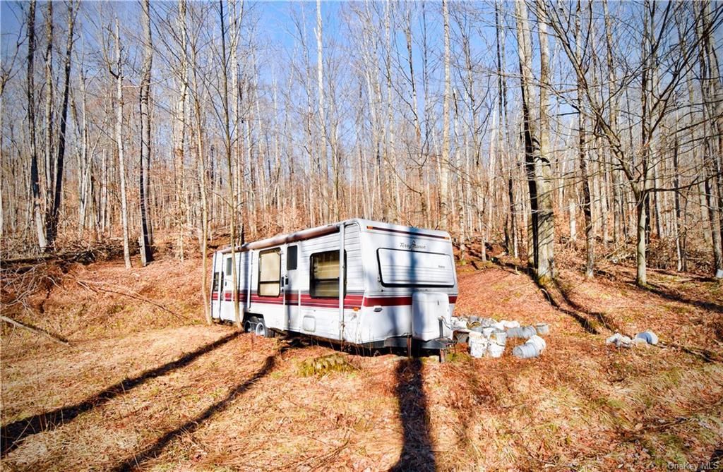 Roscoe, Delaware County, NY Undeveloped Land for sale Property ID