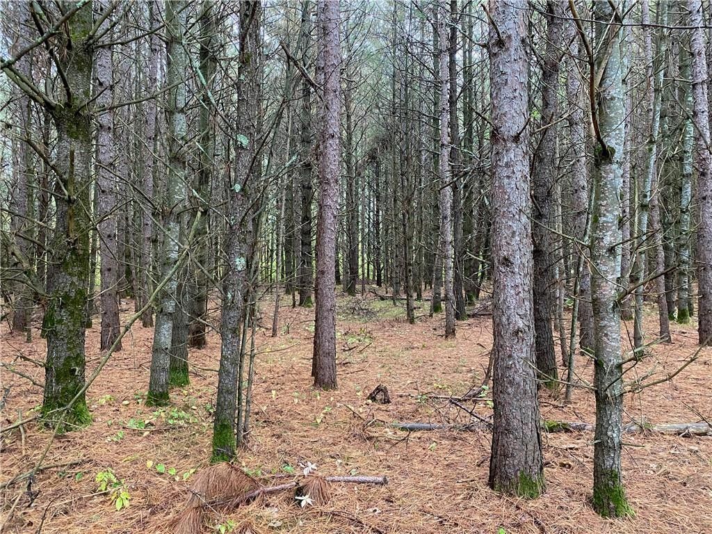 Hayward, Sawyer County, WI Undeveloped Land for sale Property ID