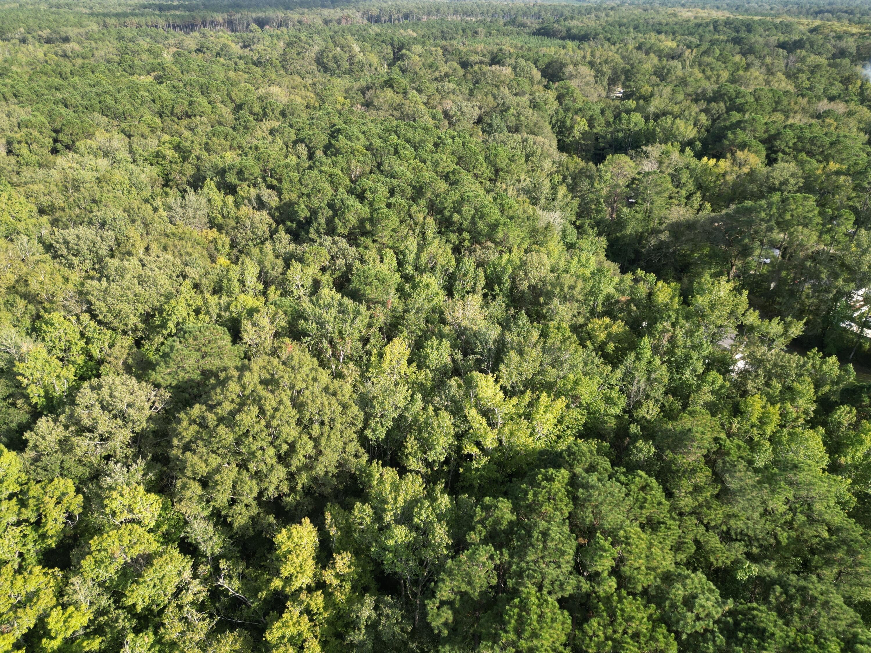 Adams Run, Charleston County, SC Undeveloped Land for sale Property ID