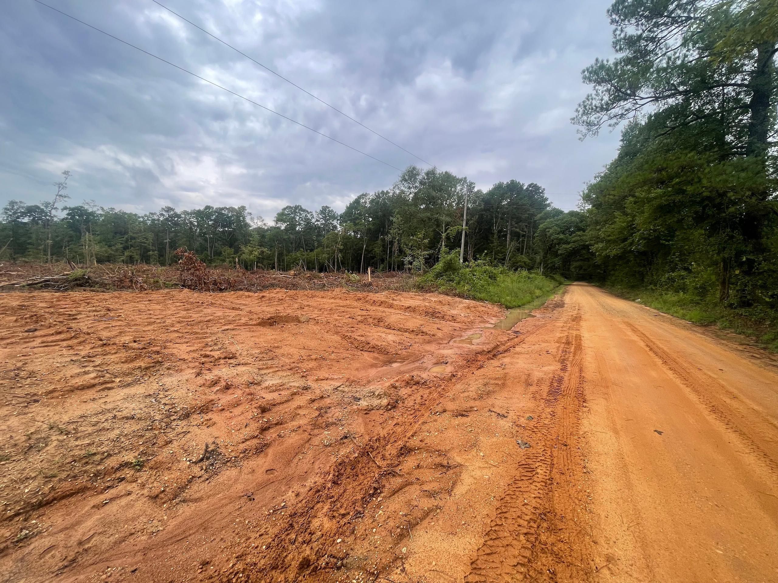 Pollock, Grant Parish, LA Recreational Property, Timberland Property