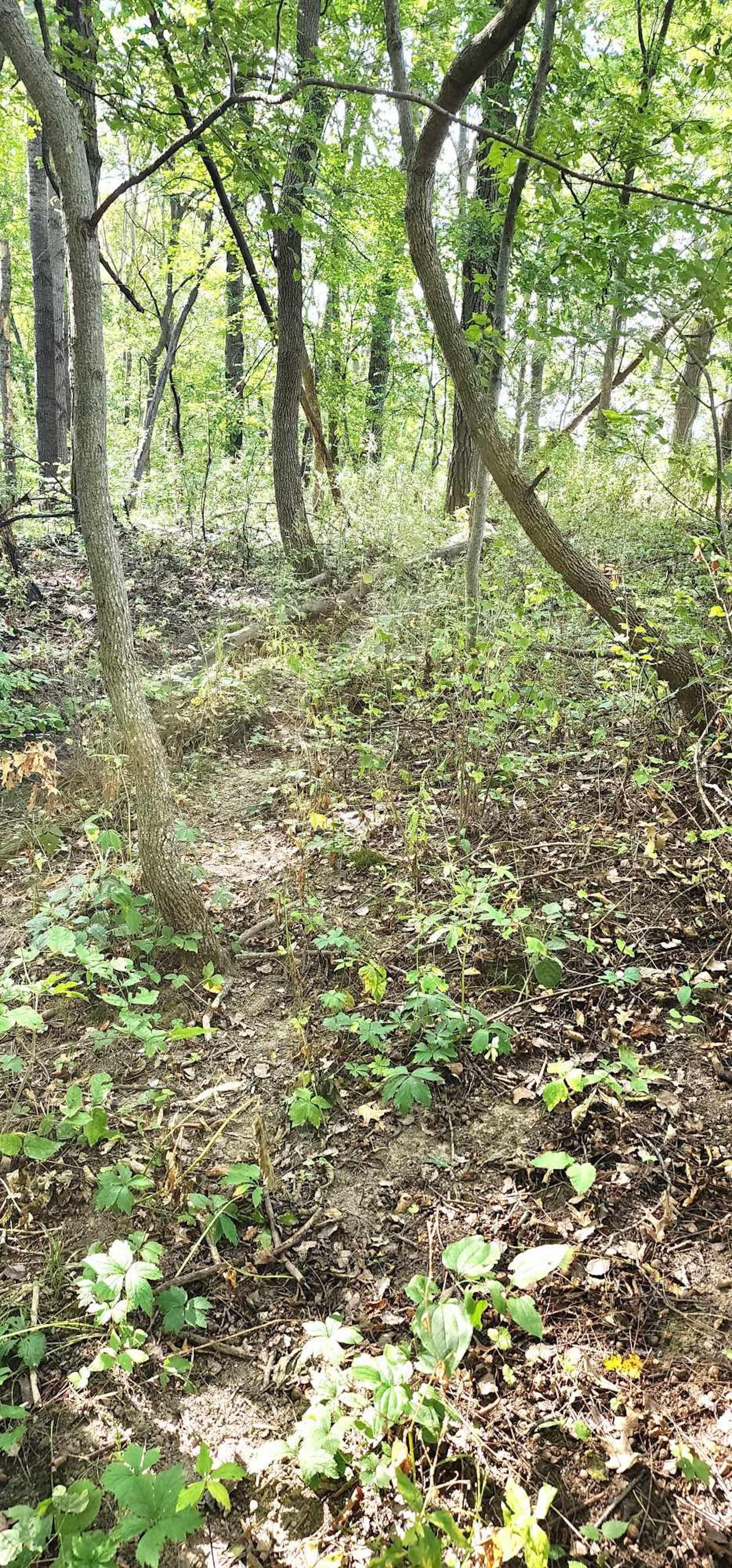 TBD Fox Road, Wadena, IA 52169 LandWatch