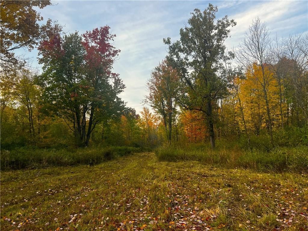 Ladysmith, Rusk County, WI Undeveloped Land for sale Property ID