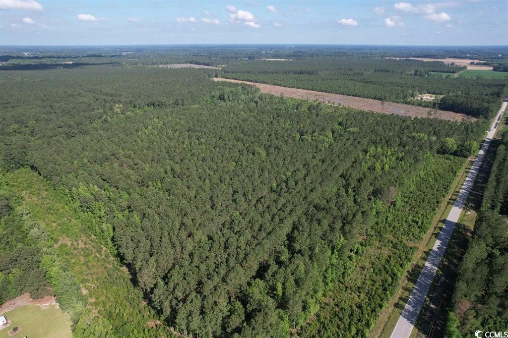 Lake City, Florence County, SC Undeveloped Land for sale Property ID
