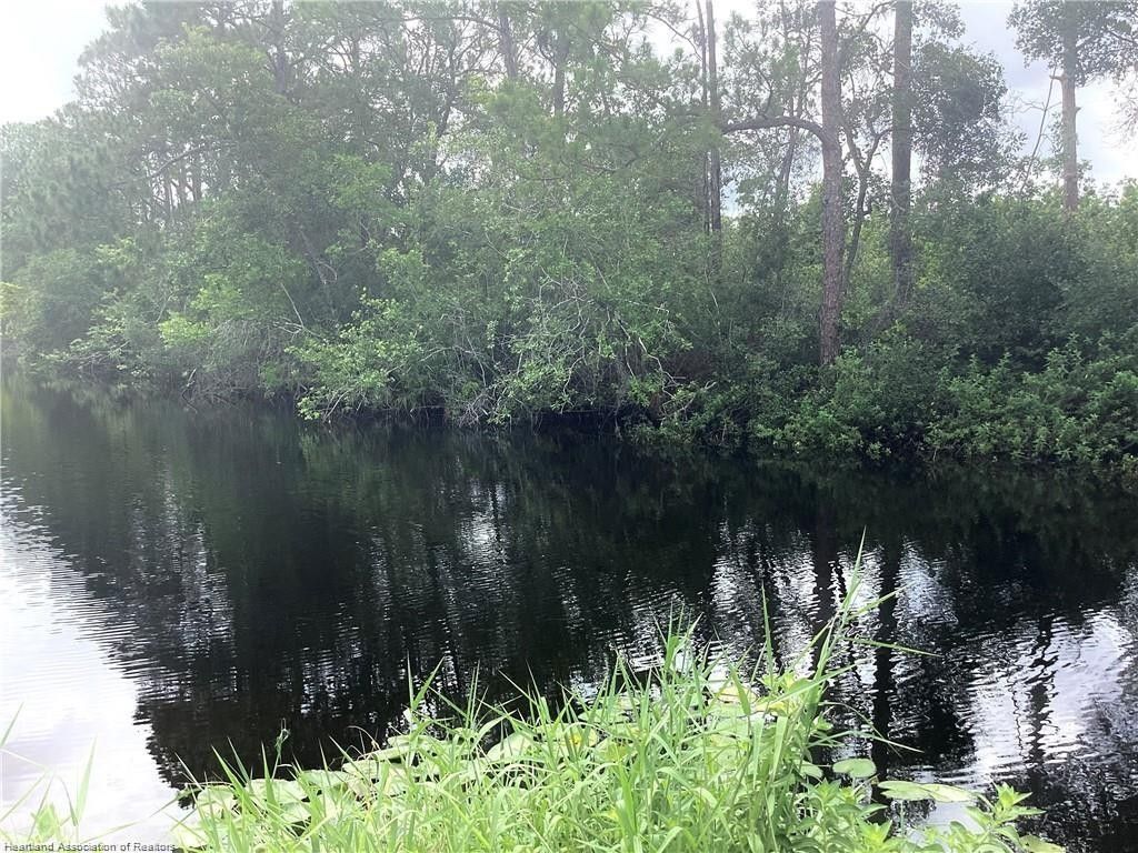 Lake Placid, Highlands County, FL Undeveloped Land, Lakefront Property