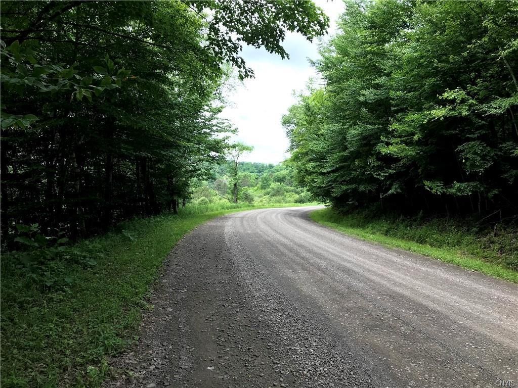 New Lisbon, Otsego County, NY Recreational Property, Timberland
