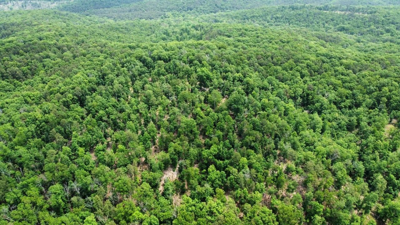 Van Buren, Carter County, MO Recreational Property, Timberland Property