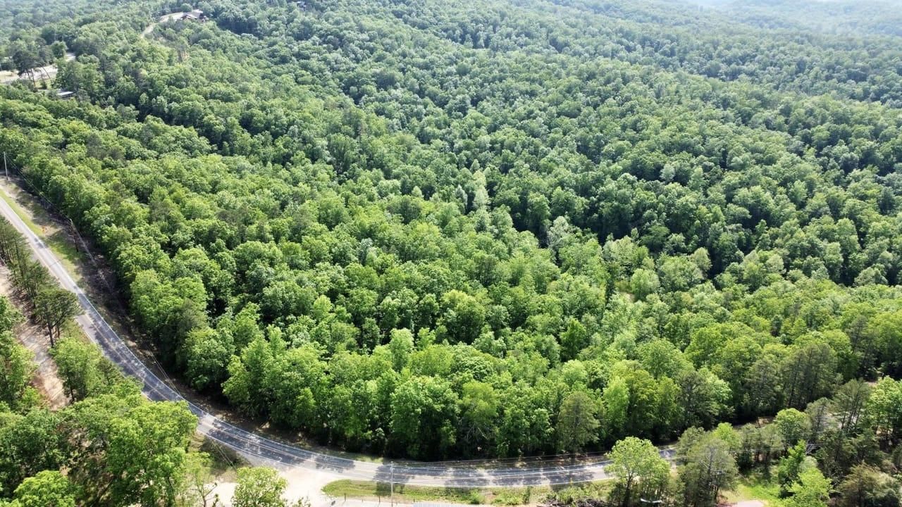 Van Buren, Carter County, MO Timberland Property, Undeveloped Land