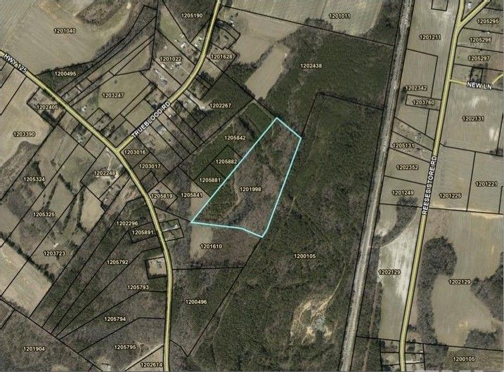 Halifax, Halifax County, NC Undeveloped Land for sale Property ID
