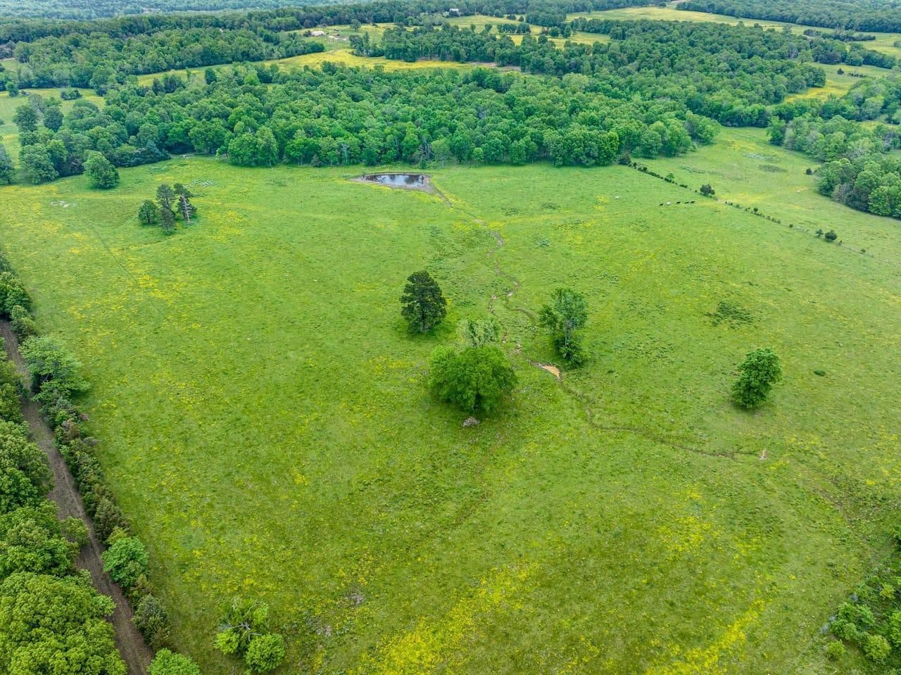Simstown Road, Evening Shade, AR 73532 LandWatch
