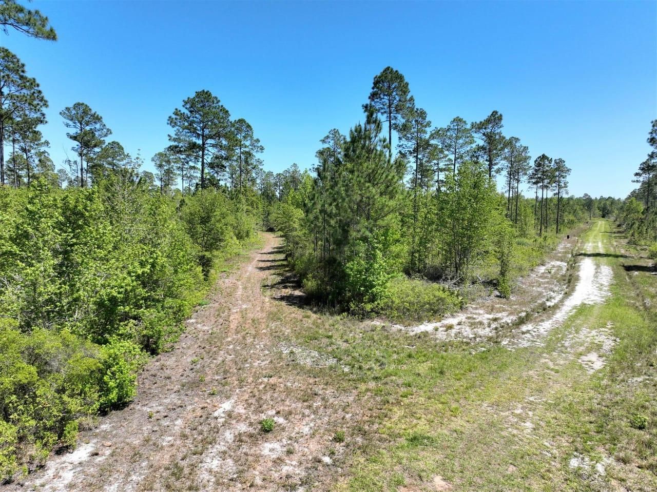 0 Shiloh Trail, Folkston, GA 31537 LandWatch