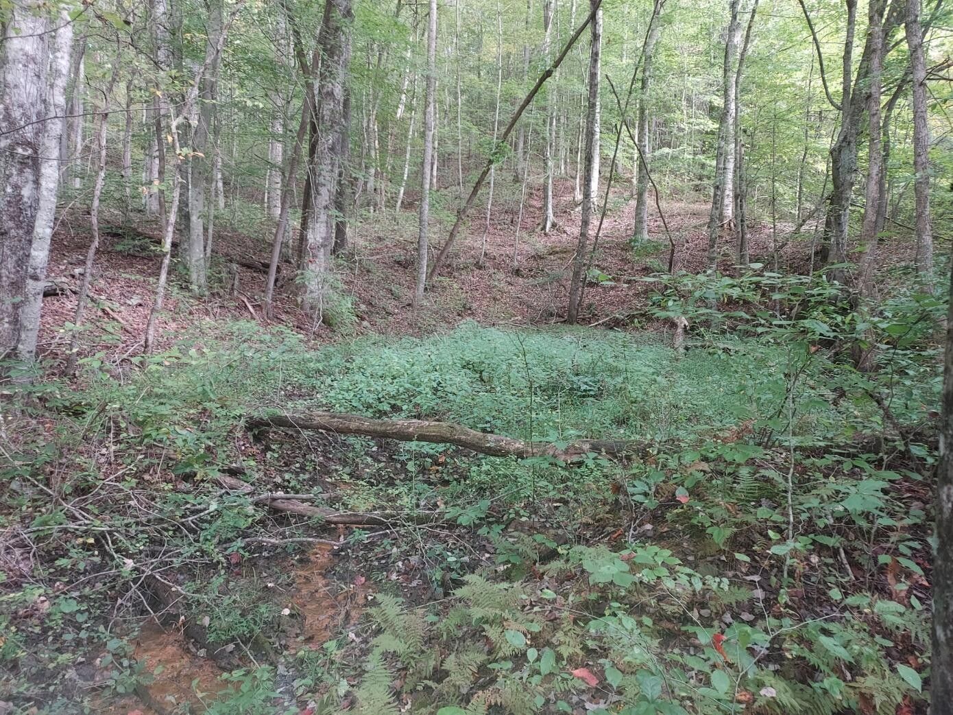 Dungannon, Scott County, VA Undeveloped Land for sale Property ID