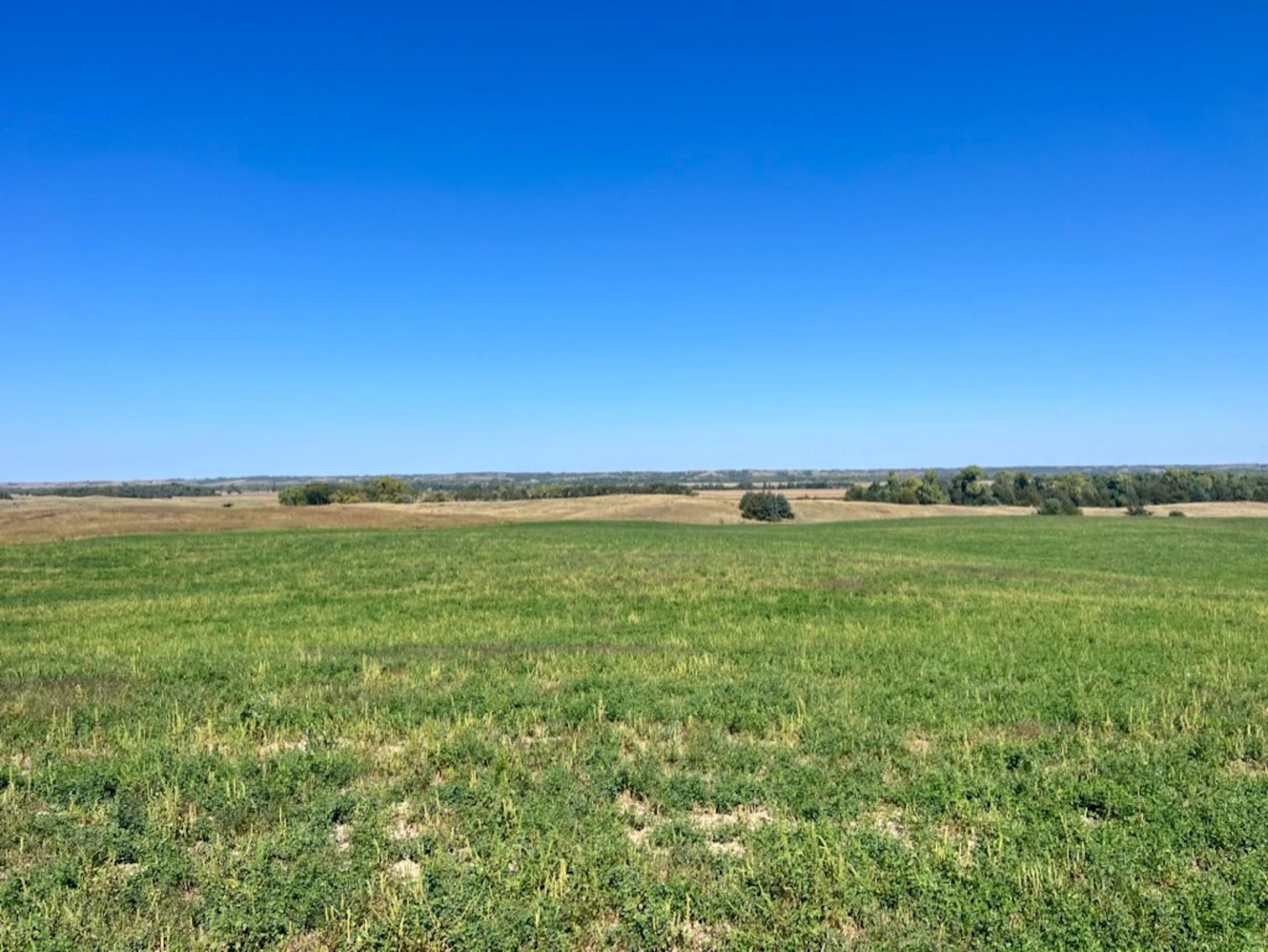 Saint Paul, Howard County, NE Farms and Ranches, Hunting Property for