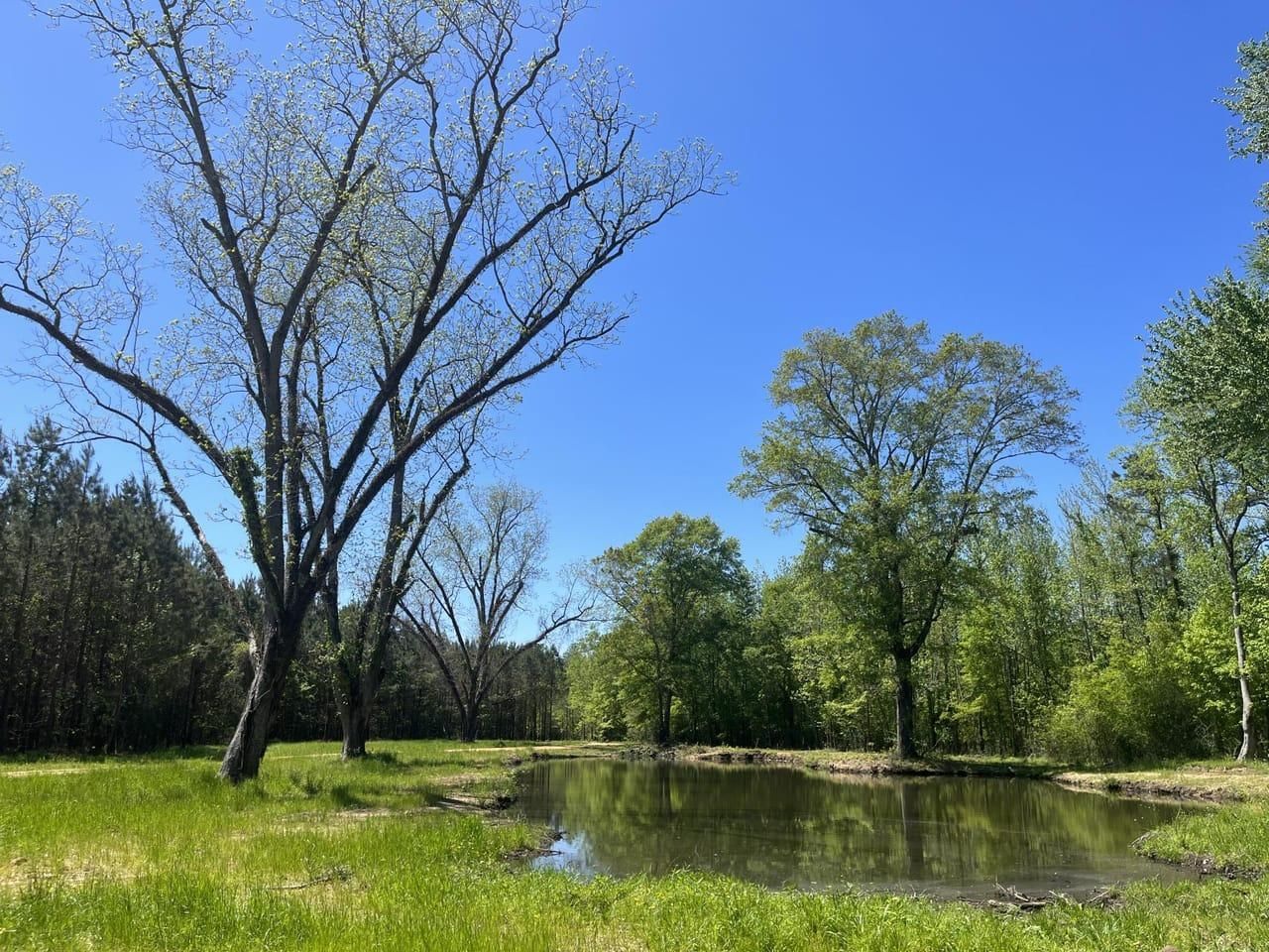 Spurlock Road, Columbus, MS 39702 LandWatch
