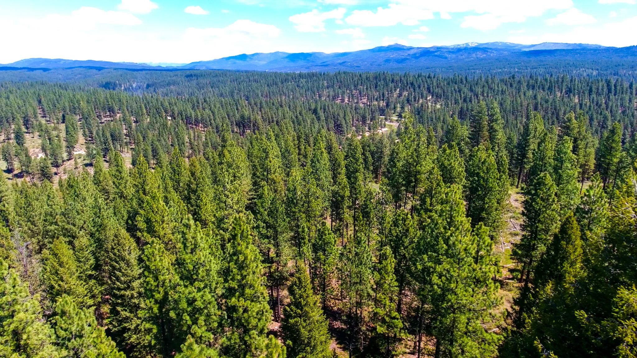 Idaho City, Boise County, ID Recreational Property, Undeveloped Land