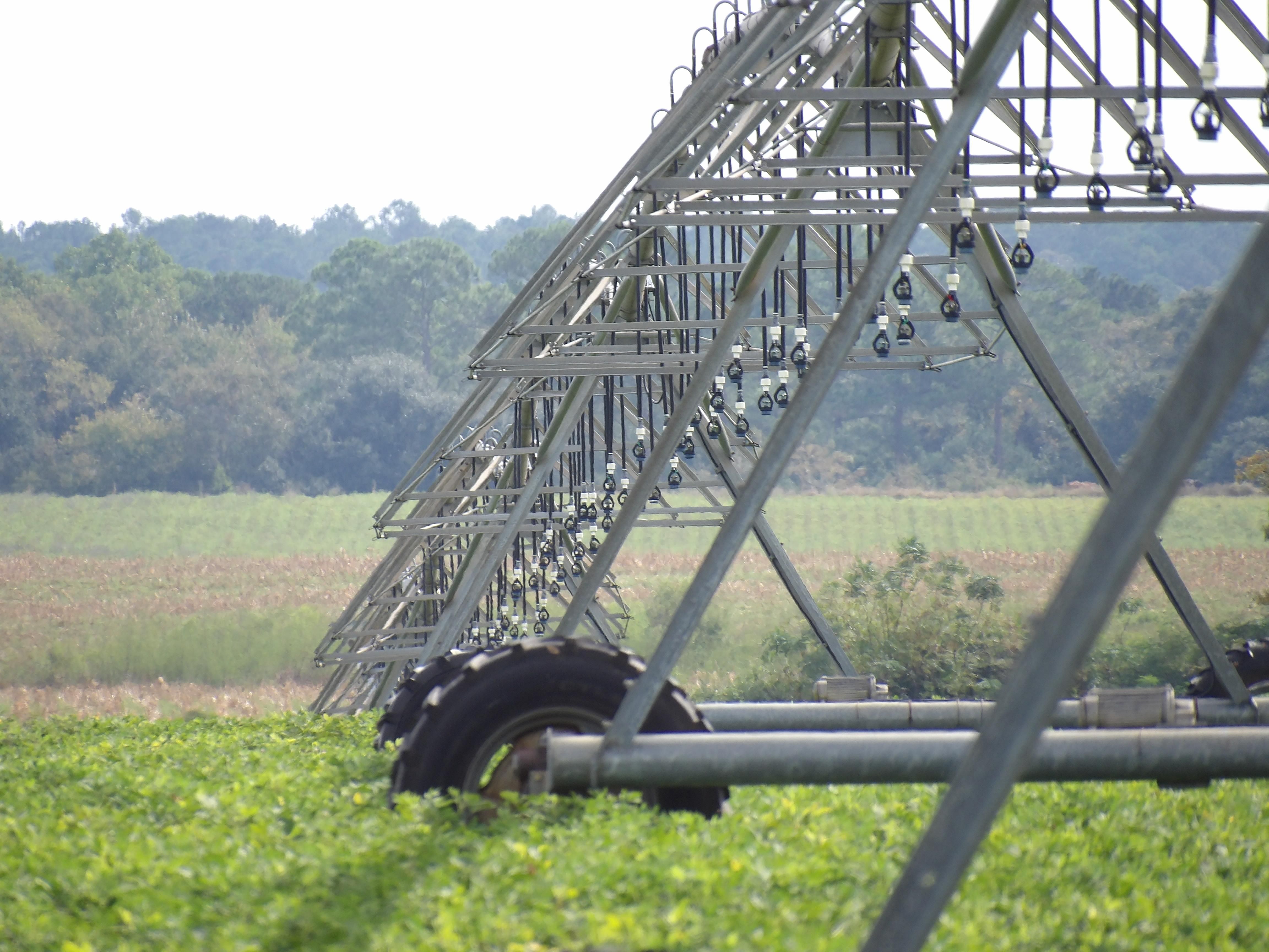 Whigham, Grady County, GA Farms and Ranches for sale Property ID 417857269 LandWatch