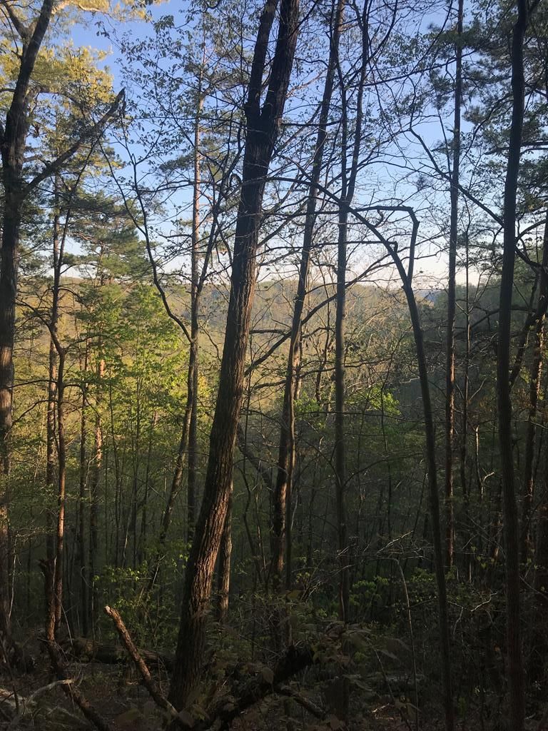 Wilder, Fentress County, TN for sale Property ID 417857530 LandWatch