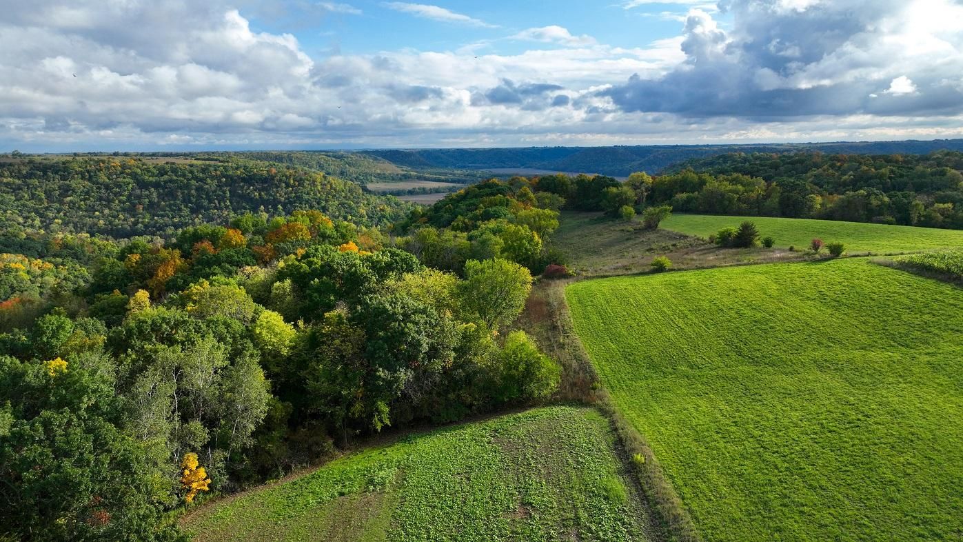 Houston, Houston County, MN Timberland Property, Undeveloped Land