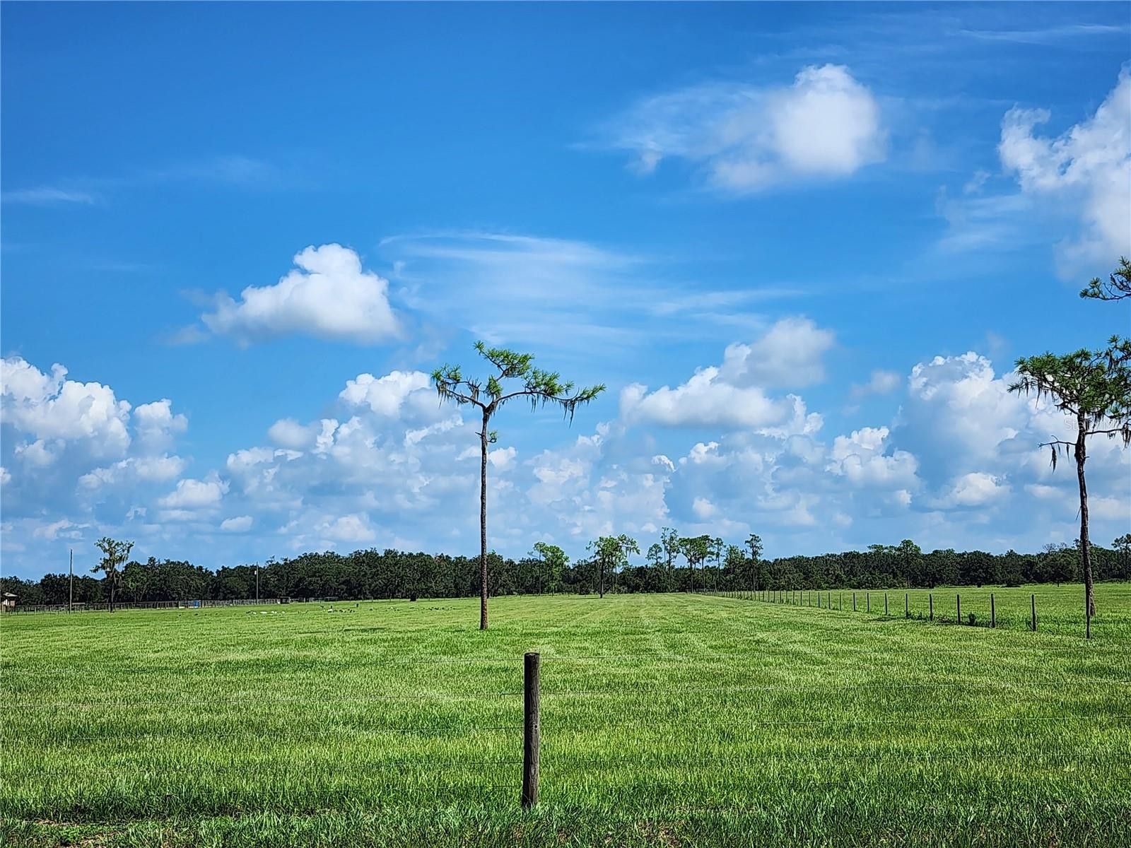 Myakka City, Manatee County, FL Undeveloped Land, Homesites for sale