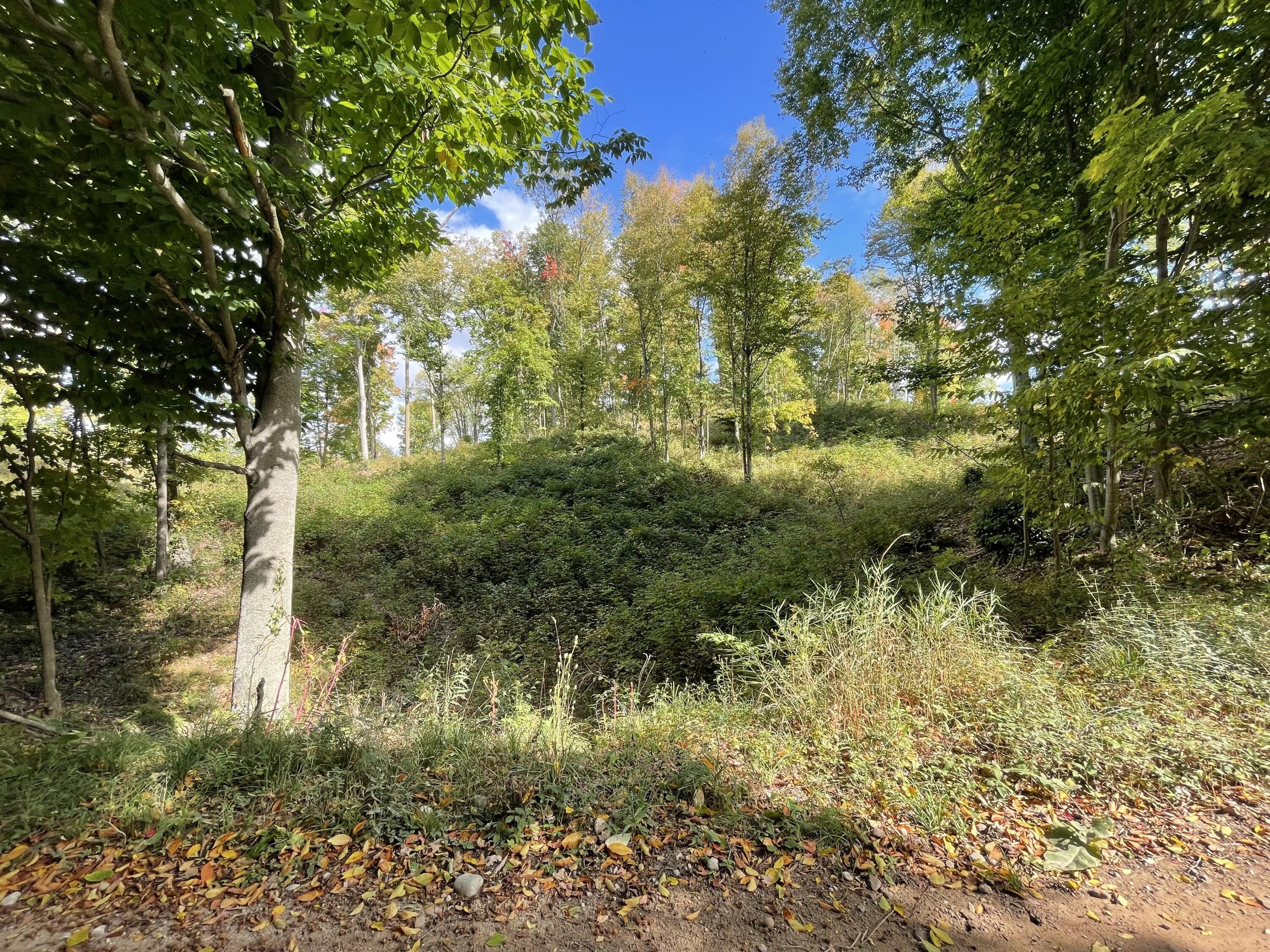 Hart, Oceana County, MI Undeveloped Land, Lakefront Property