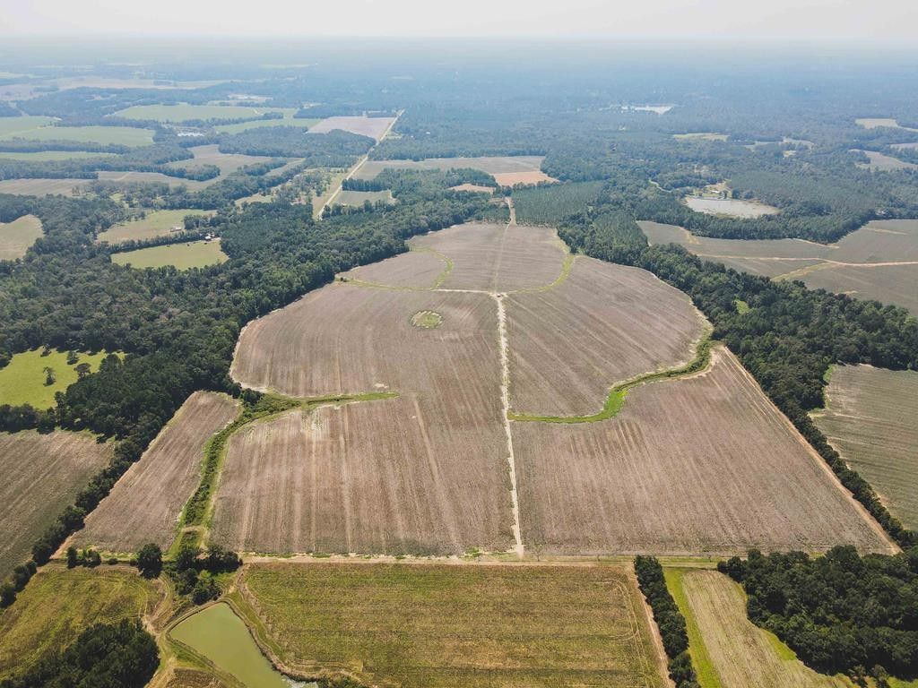 Thomasville, Thomas County, GA Farms and Ranches for sale Property ID