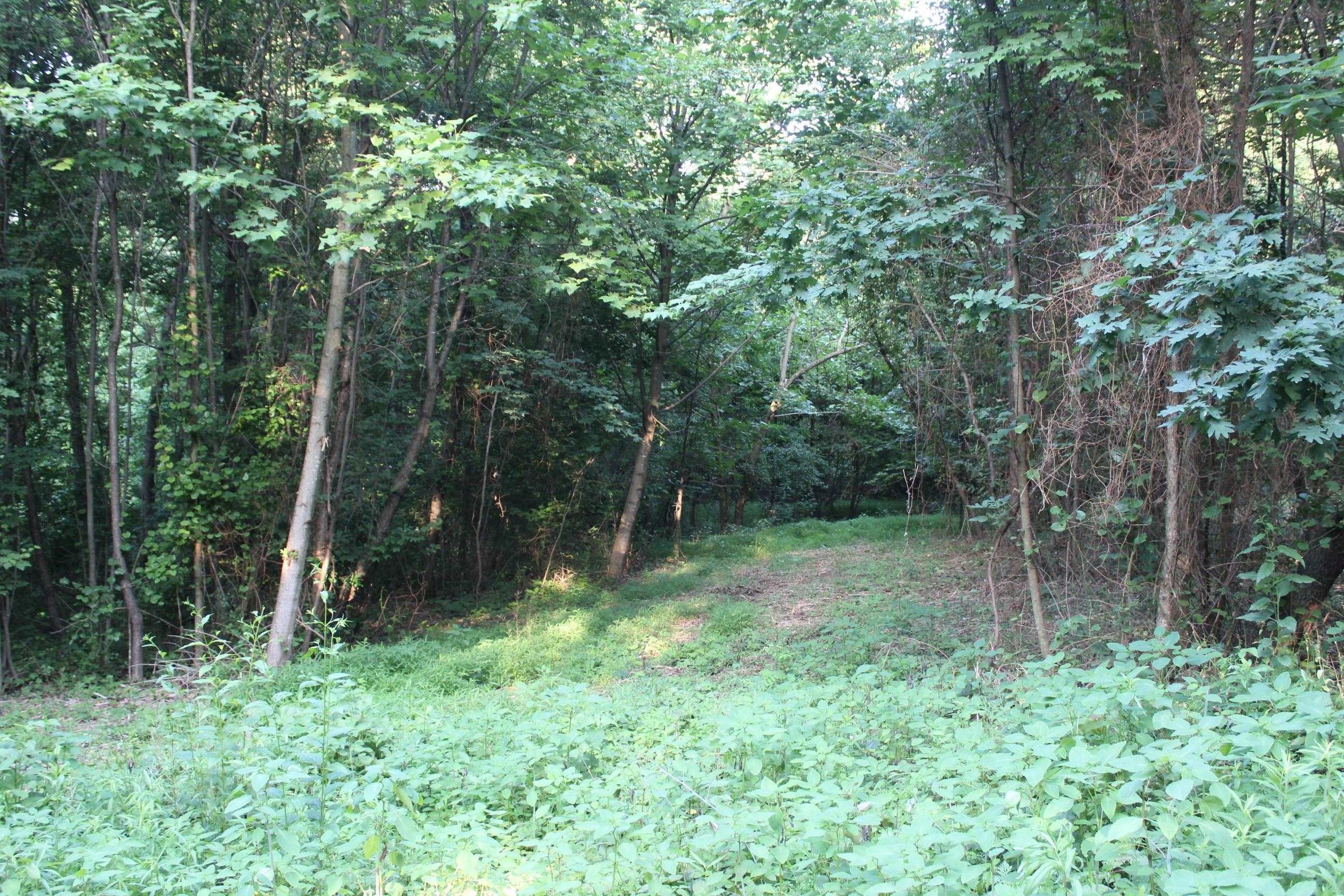 TBD BIG HILL RD, Mount Solon, VA 22843 MLS 646183 LandWatch