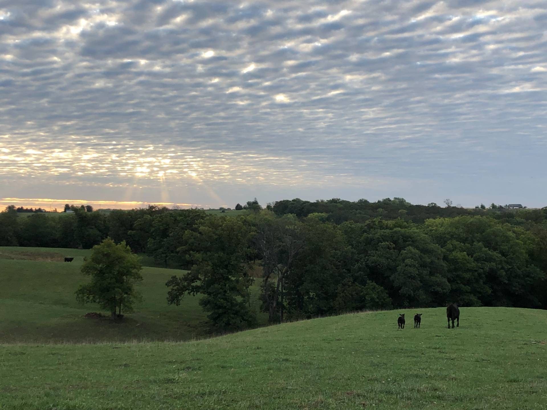 Osceola, Clarke County, IA Undeveloped Land, Lakefront Property, Waterfront Property for sale