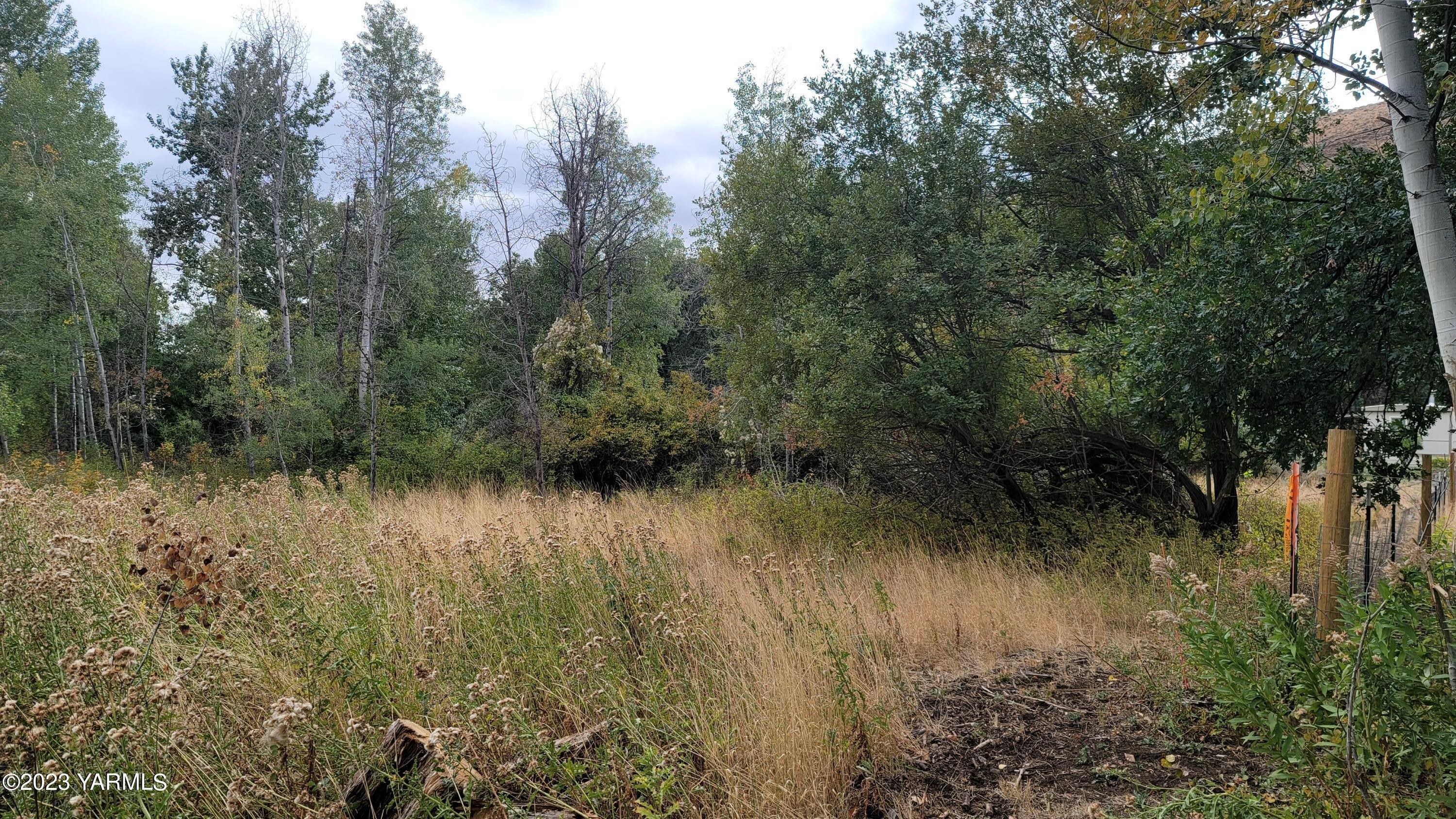 Yakima, Yakima County, WA Undeveloped Land, Homesites for sale Property