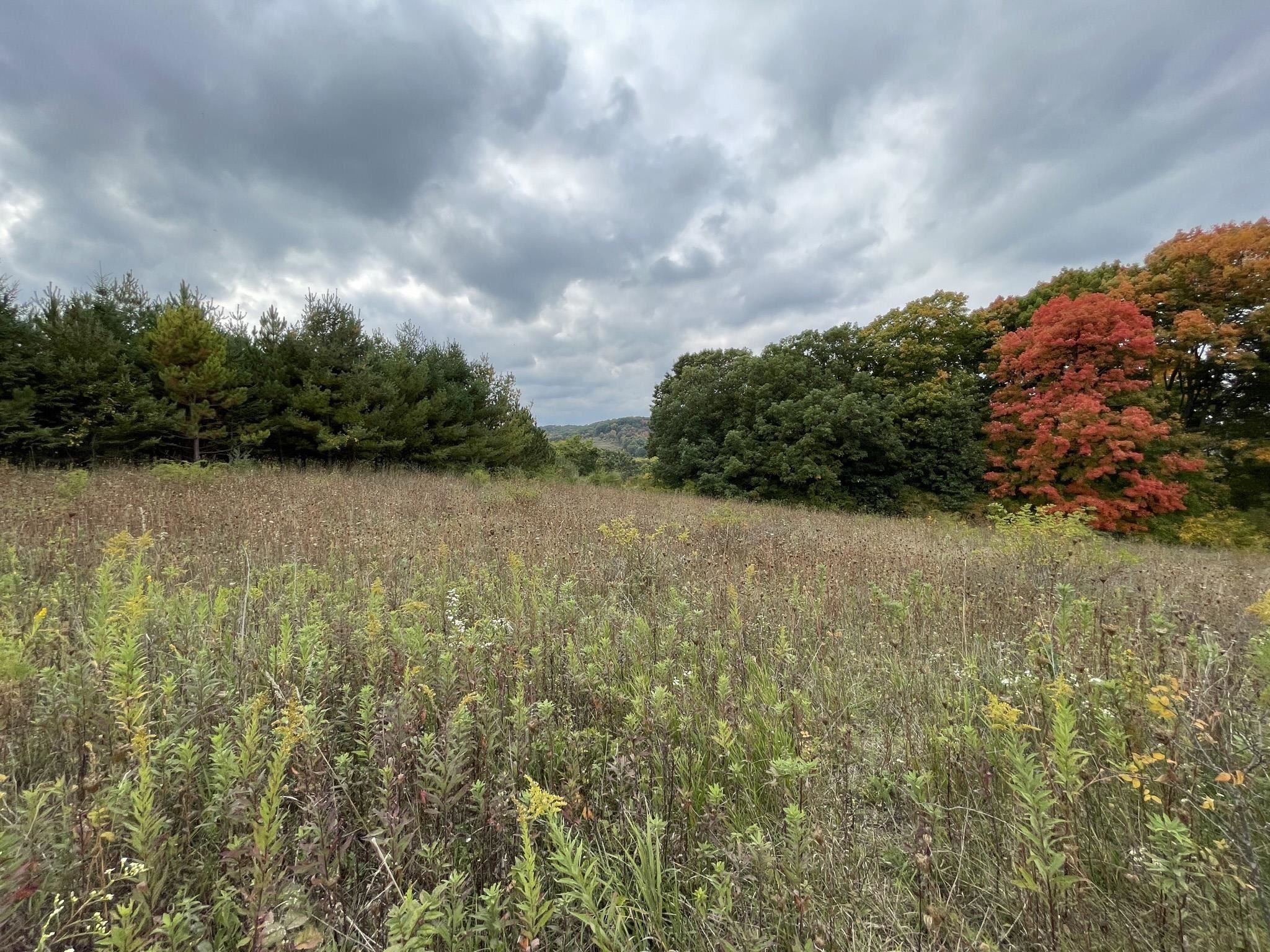 La Valle, Sauk County, WI Undeveloped Land, Homesites for sale Property