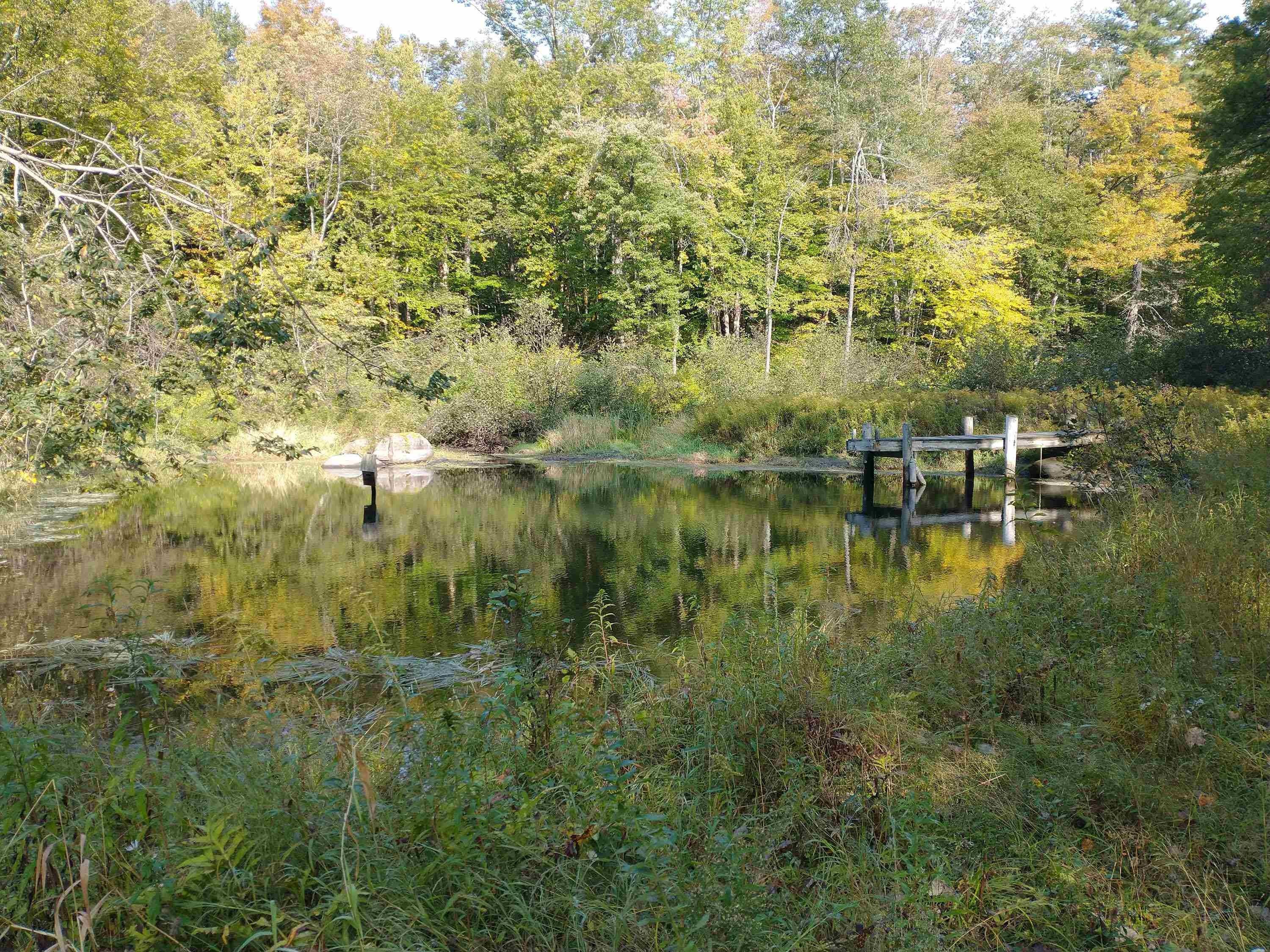 Halifax, Windham County, VT Undeveloped Land for sale Property ID