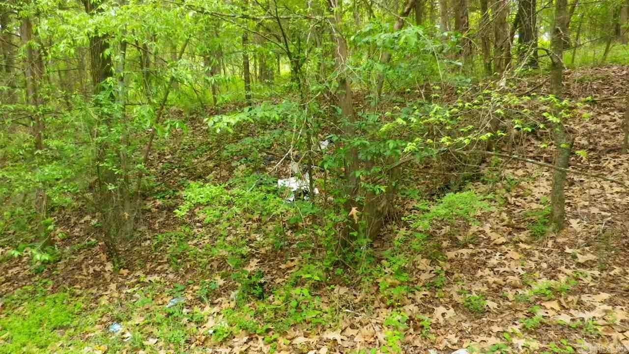 Conway, Faulkner County, AR Undeveloped Land, Lakefront Property