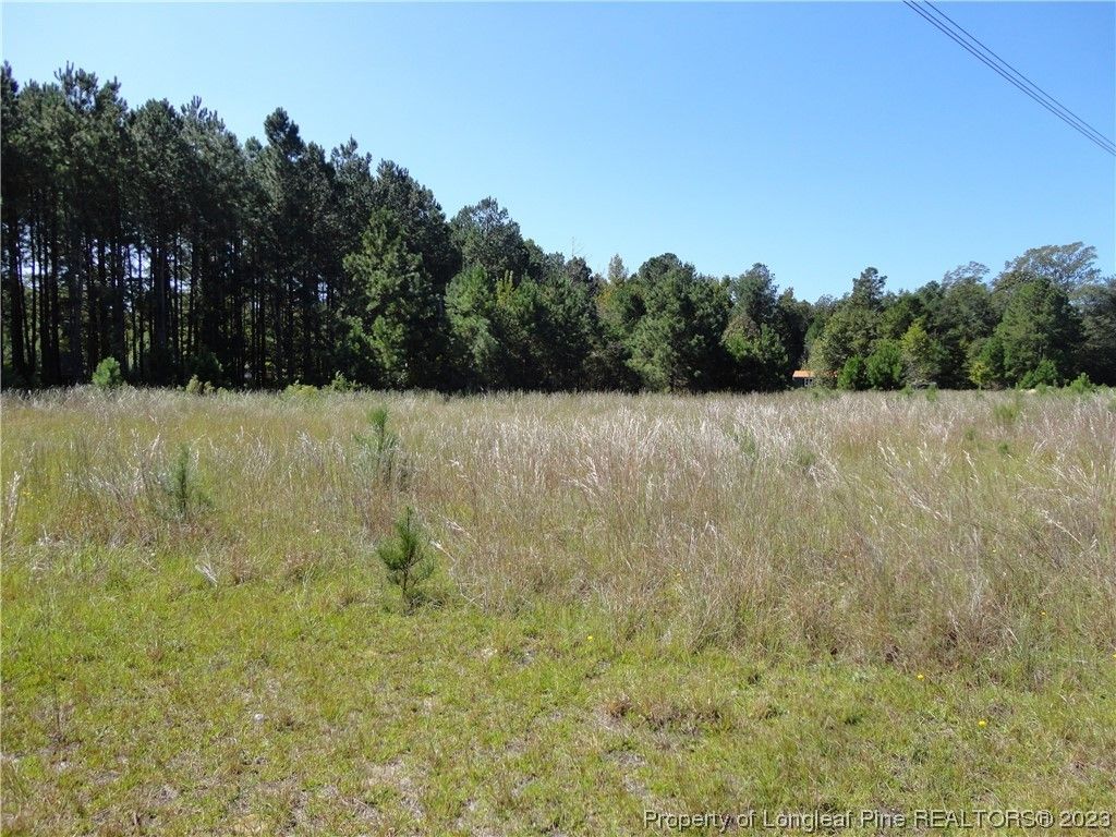 Maxton, Hoke County, NC Undeveloped Land for sale Property ID