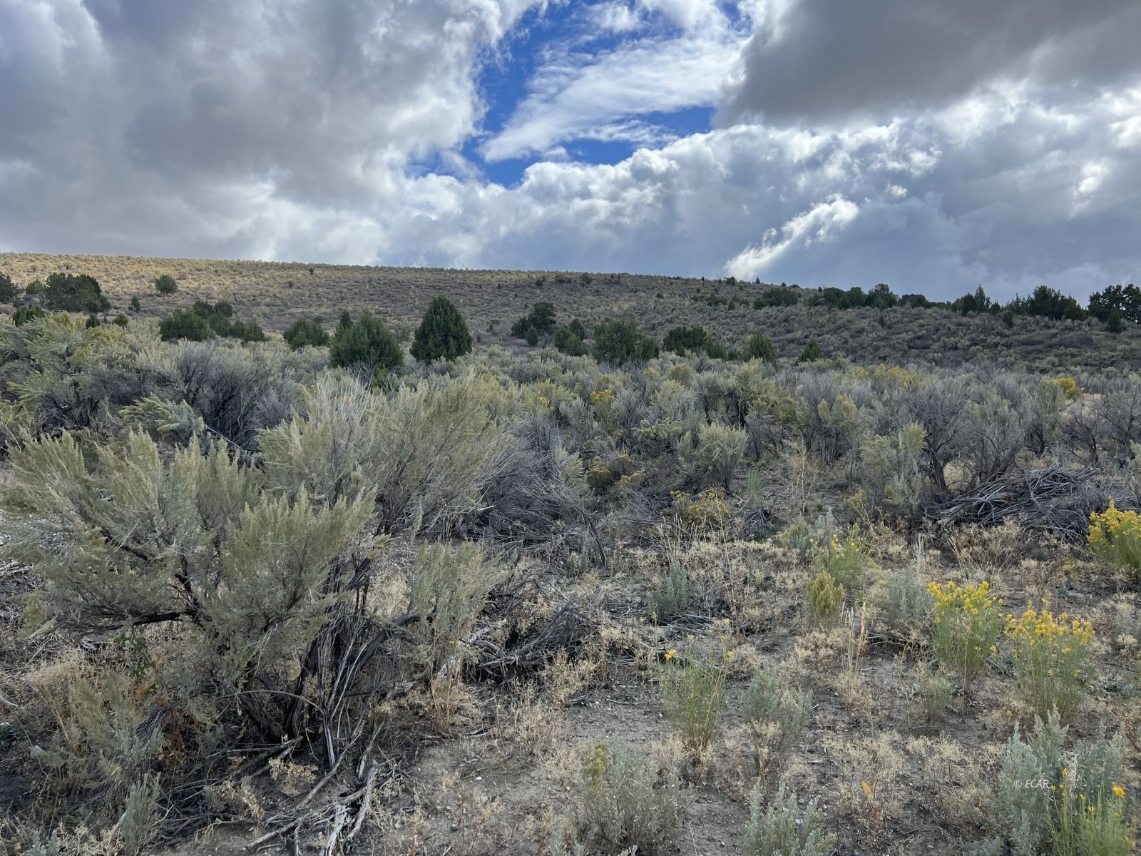 Elko, Elko County, NV Undeveloped Land for sale Property ID 417863922