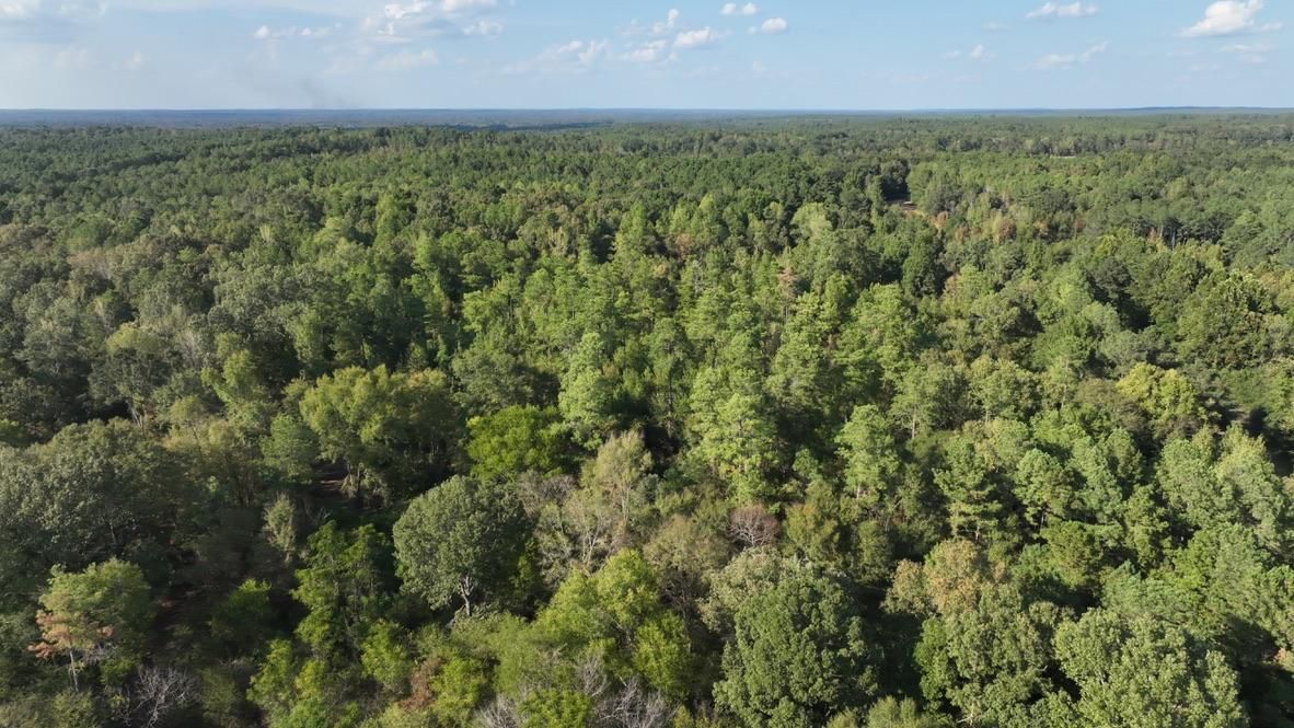 State Hwy 17, Pickens, MS 39146 MLS 4060414 LandWatch