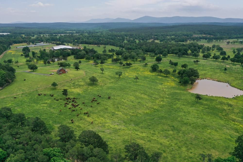Mena, Scott County, AR Farms and Ranches, Recreational Property, Horse