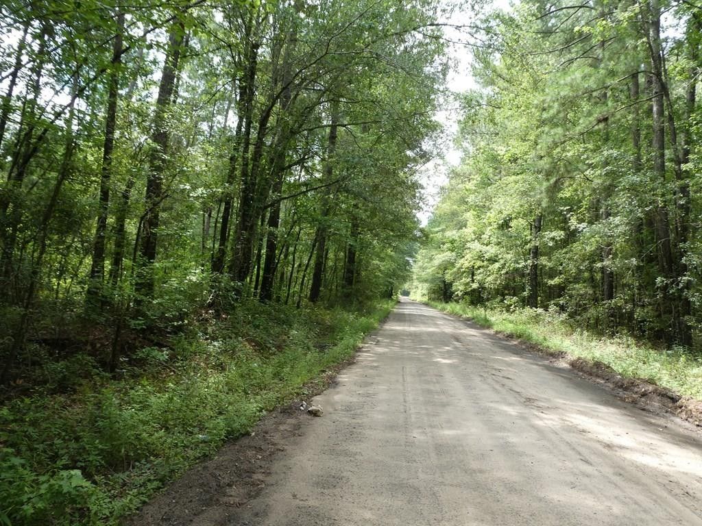 Holly Hill, Orangeburg County, SC Undeveloped Land for sale Property ID