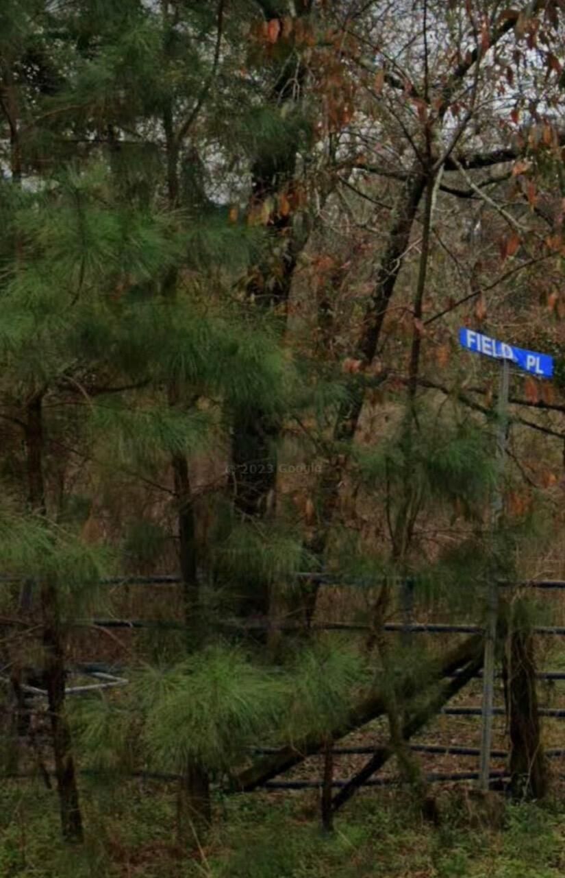 Moncks Corner, Berkeley County, SC Undeveloped Land for sale Property