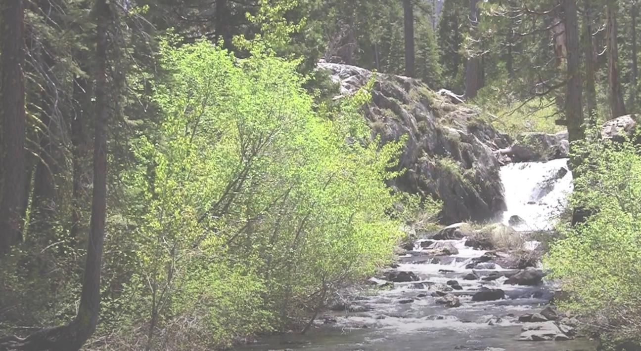 375 per month Plumas County CA Mining Claim Ownership, Graeagle, CA