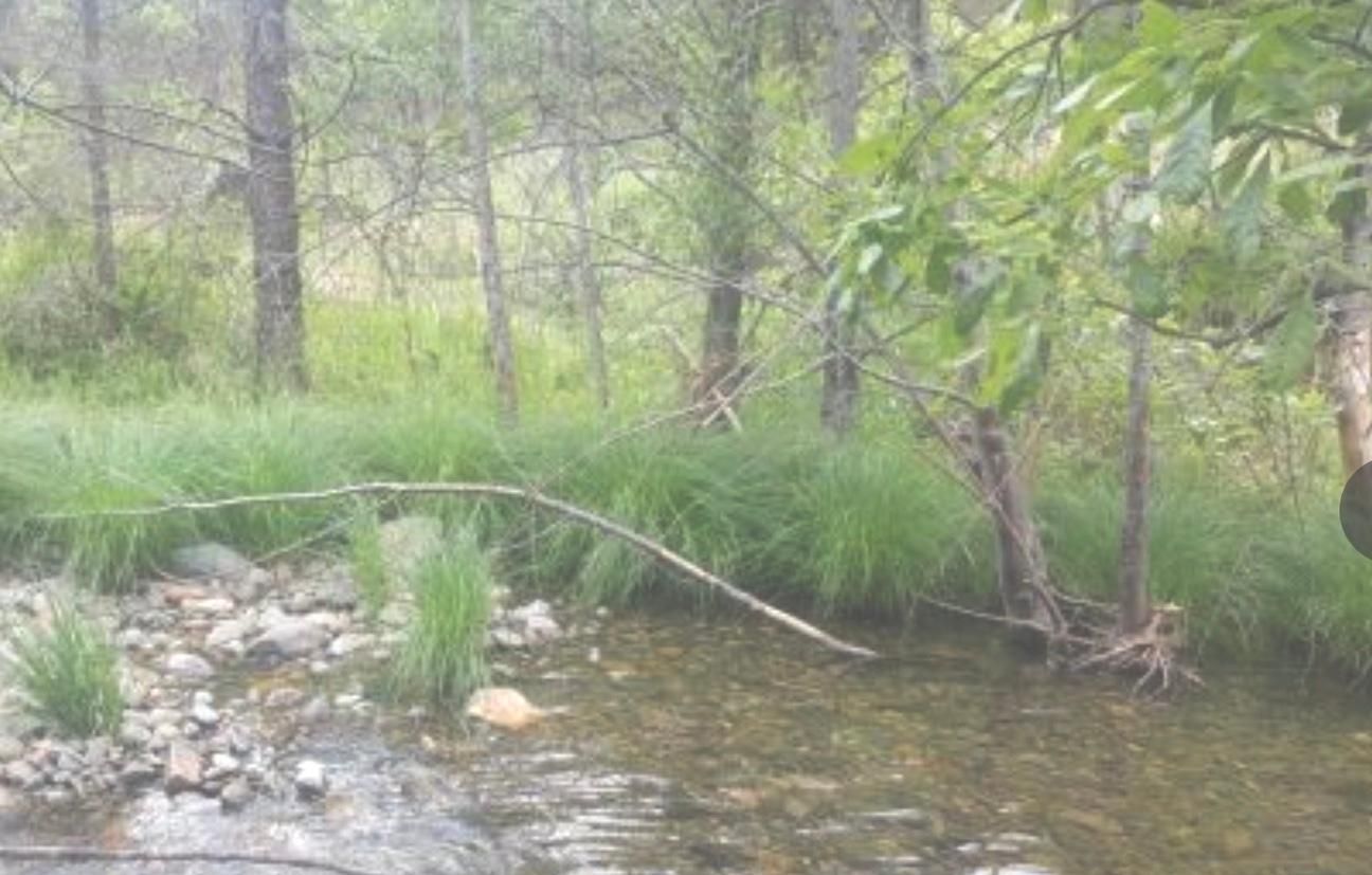 375/mo MiningClaim Ownership, Weaverville, CA 96048 LandWatch