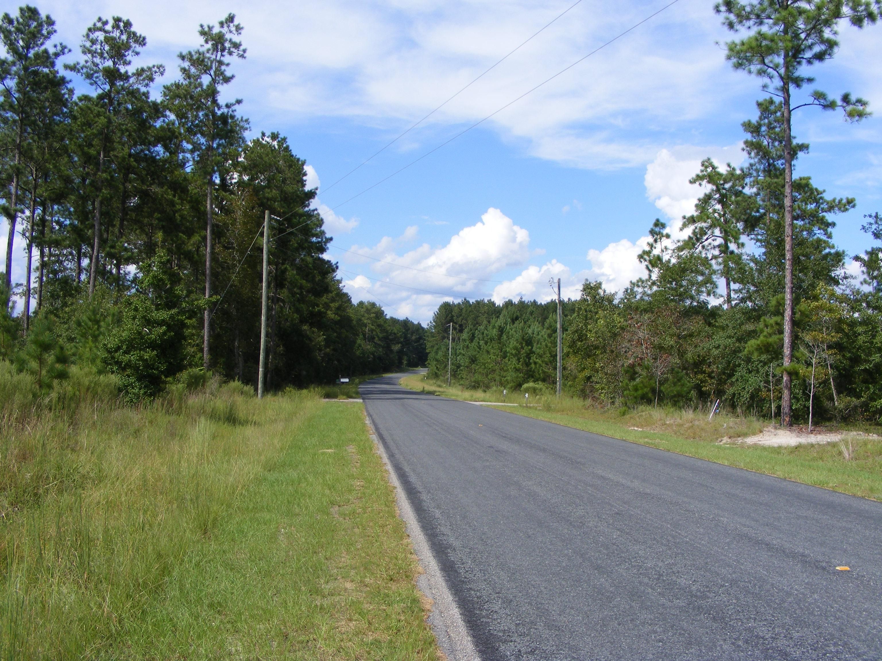 North, Orangeburg County, SC Recreational Property, Hunting Property for sale Property ID