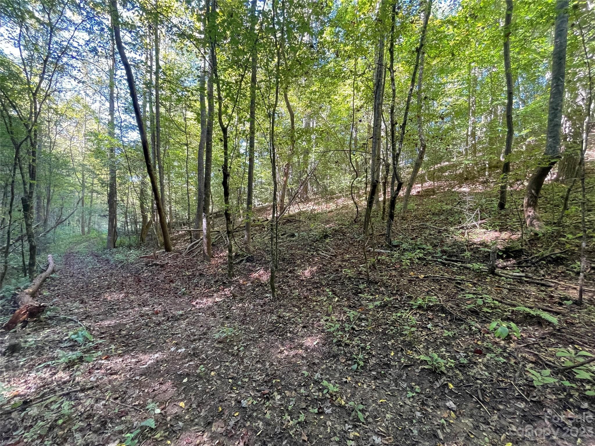 Lenoir, Caldwell County, NC Undeveloped Land for sale Property ID