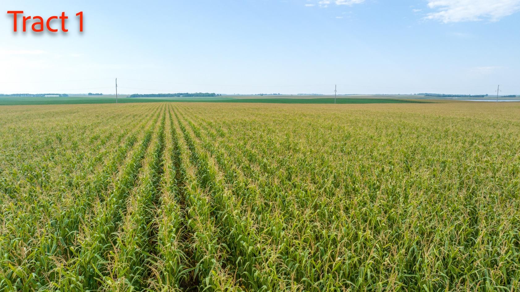 De Smet, Kingsbury County, SD Farms and Ranches for auction Property ID