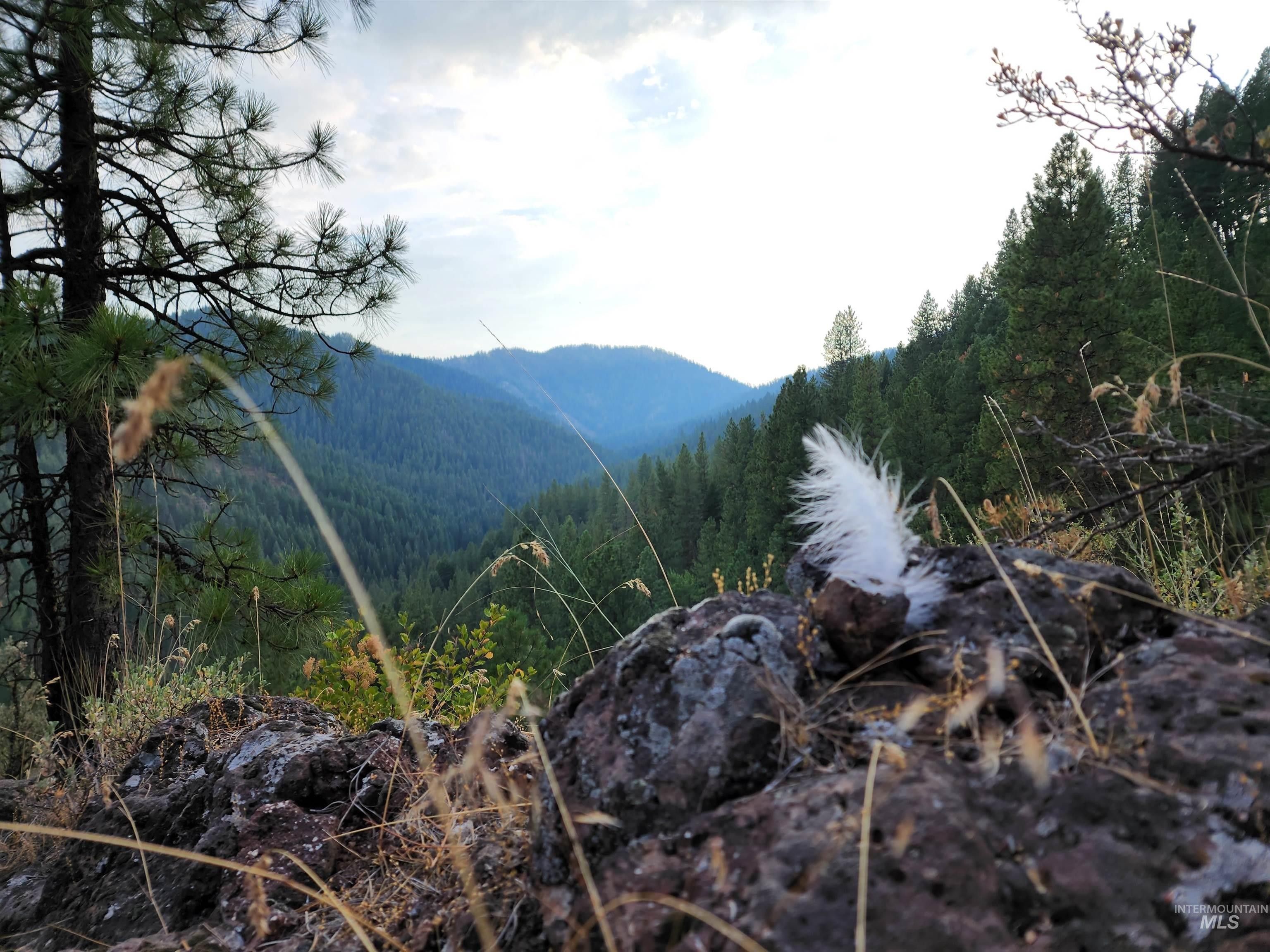 New Meadows, Adams County, ID Undeveloped Land, Lakefront Property