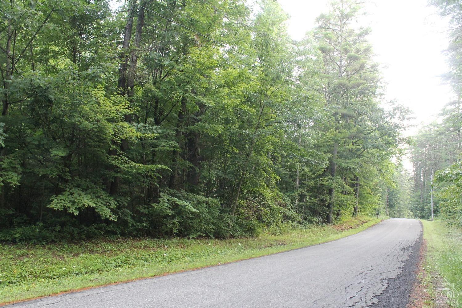 Johnstown, Fulton County, NY Undeveloped Land for sale Property ID