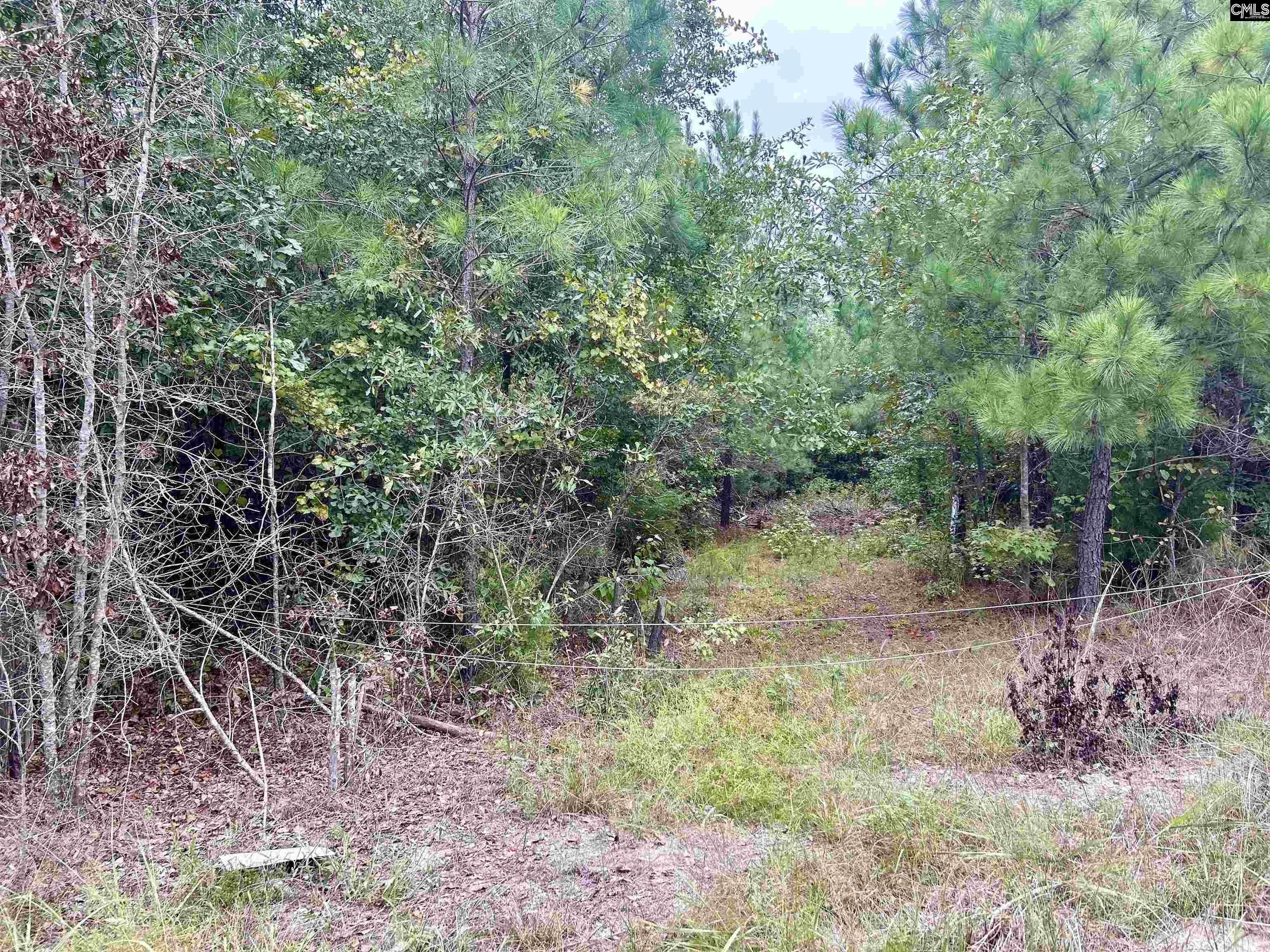 Blythewood, Richland County, SC Undeveloped Land for sale Property ID