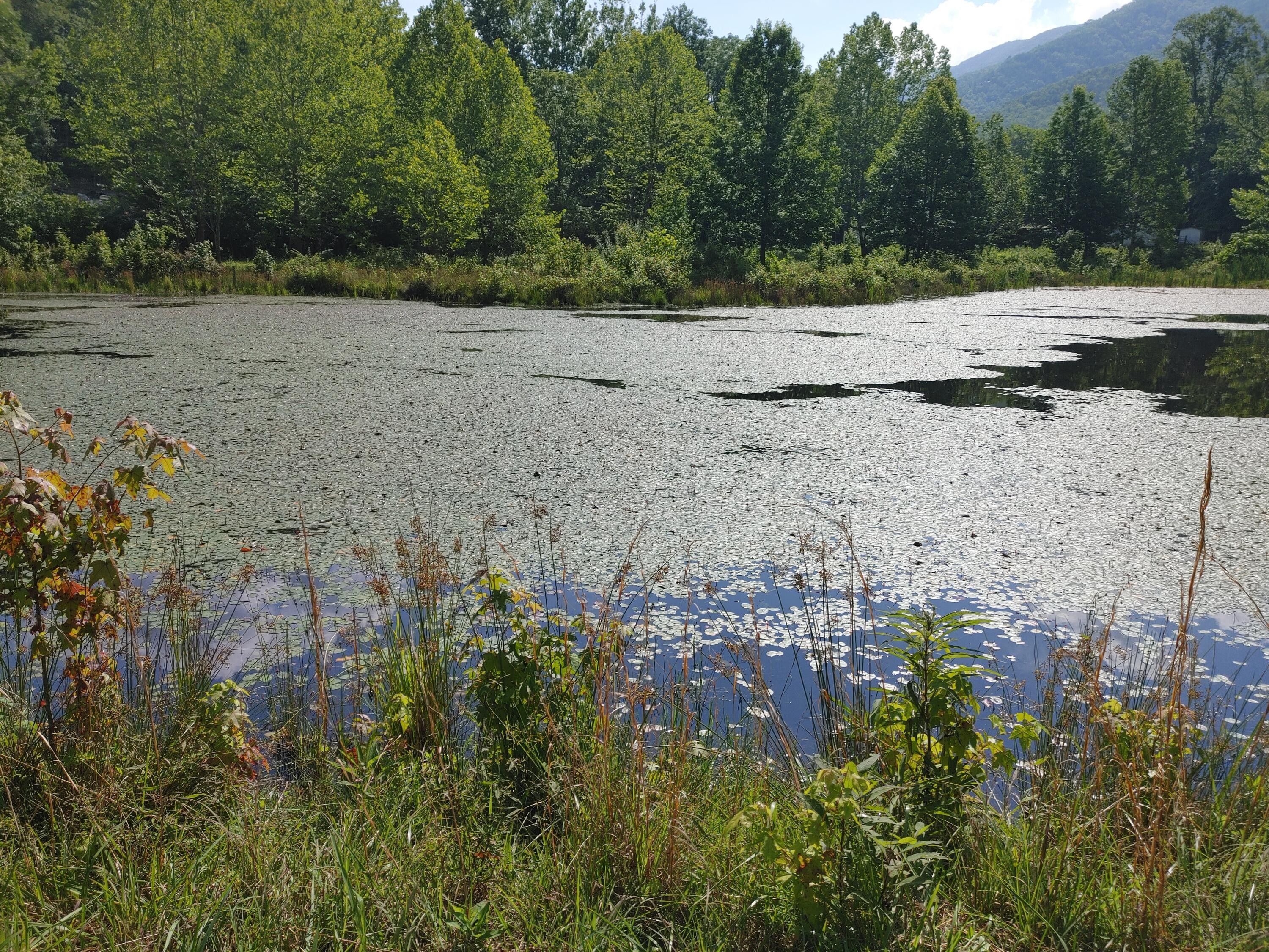 Middlesboro, Bell County, KY Commercial Property for sale Property ID 416059057 LandWatch