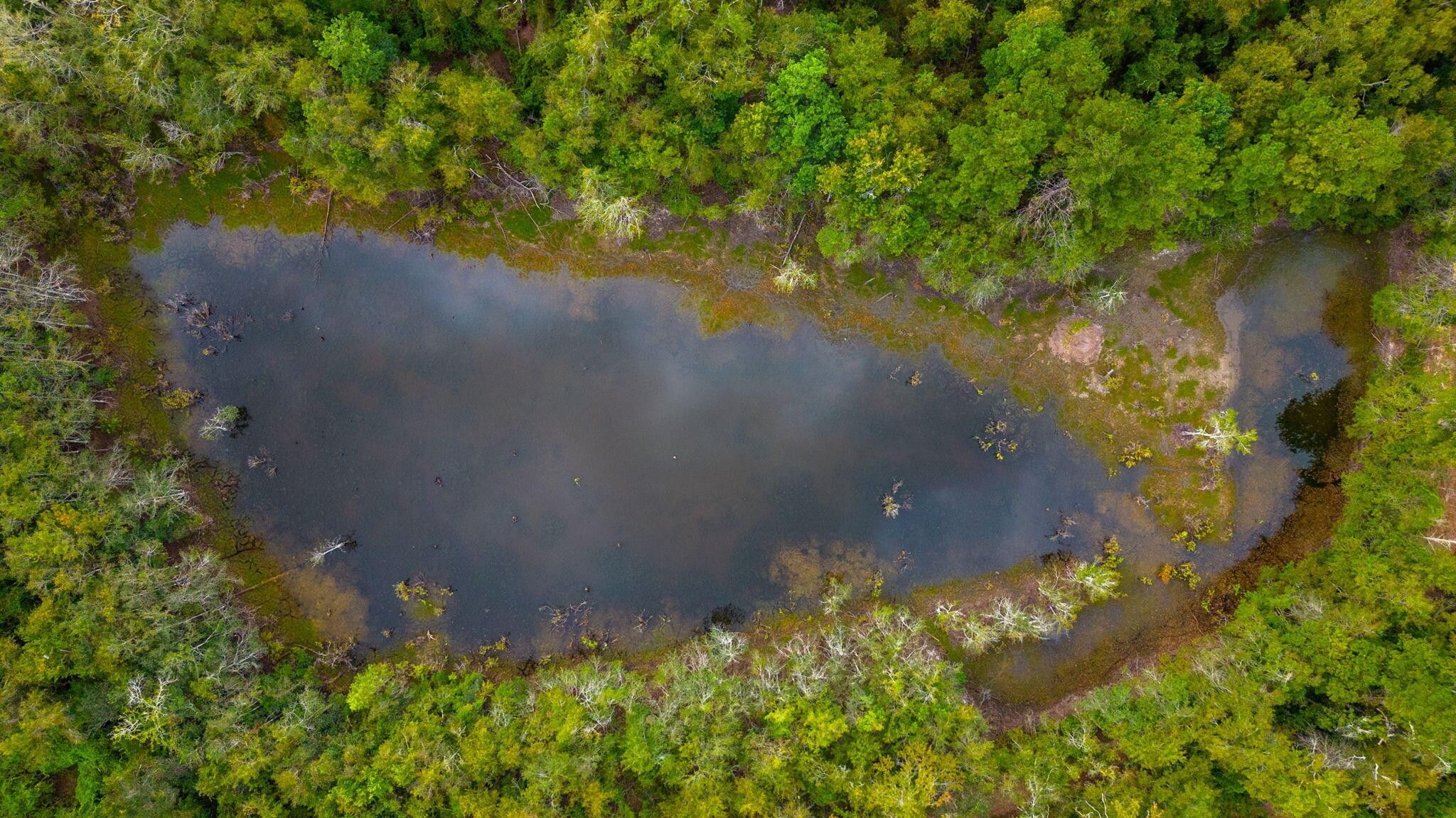 Florala, Covington County, AL Undeveloped Land, Lakefront Property