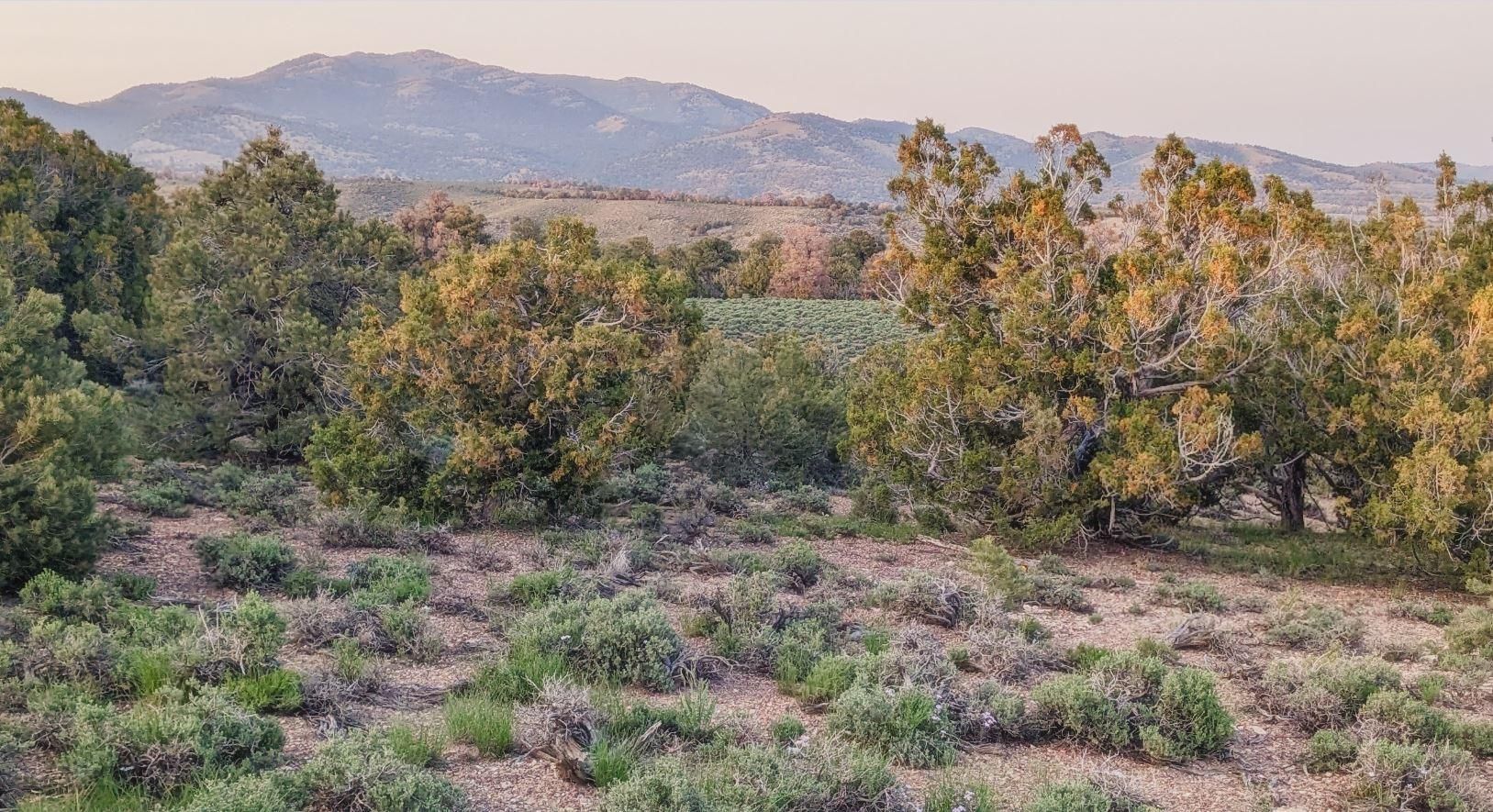 Montello, Elko County, NV Recreational Property, Undeveloped Land for