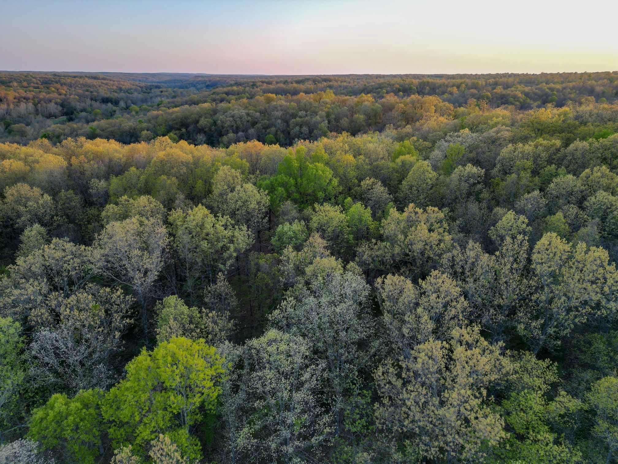 Rocky Comfort, McDonald County, MO Undeveloped Land for sale Property
